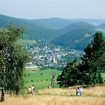 'kahle Poen' Mit Meinecardplus, Wintergarten Und Eingezaeuntem Garten